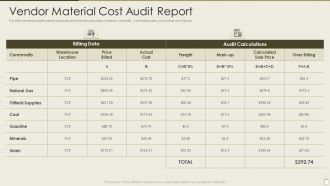 Vendor Material Cost Audit Report