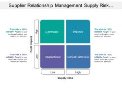 Supplier relationship management supply risk profit impact matrix