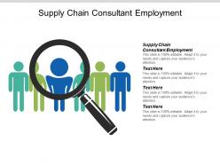 supply_chain_consultant_employment_ppt_powerpoint_presentation_ideas_cpb_Slide01