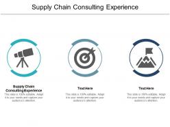 Supply chain consulting experience ppt powerpoint presentation icon outfit cpb