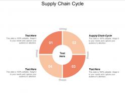 Supply chain cycle ppt powerpoint presentation summary show cpb