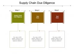 Supply chain due diligence ppt powerpoint presentation topics cpb