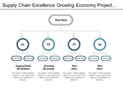 Supply chain excellence growing economy project management approach cpb