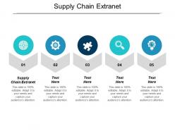 Supply chain extranet ppt powerpoint presentation icon file formats cpb