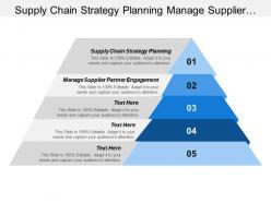 Supply chain strategy planning manage supplier partner engagement