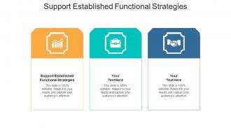 Support established functional strategies ppt powerpoint presentation model graphics download cpb