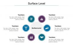 Surface level ppt powerpoint presentation layouts skills cpb