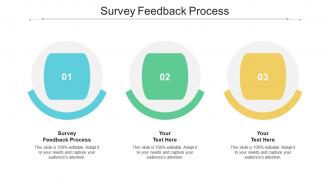 Survey feedback process ppt powerpoint presentation infographic template display cpb