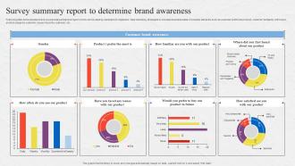 Survey Summary Report To Determine Brand Awareness Survey SS