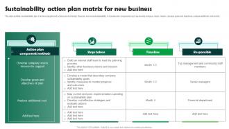 Sustainability Action Plan Matrix For New Business