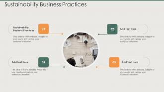 Sustainability Business Practices In Powerpoint And Google Slides Cpb
