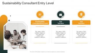 Sustainability Consultant Entry Level In Powerpoint And Google Slides Cpb