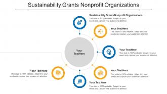 Sustainability Grants Nonprofit Organizations Ppt Powerpoint Presentation File Layouts Cpb