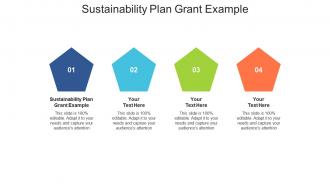 Sustainability plan grant example ppt powerpoint presentation infographic cpb