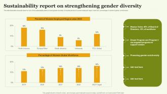 Sustainability Report On Strengthening Gender Diversity