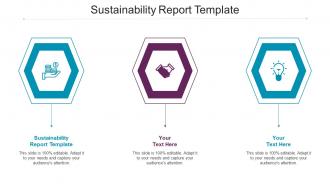 Sustainability Report Template Ppt Powerpoint Presentation Pictures Portfolio Cpb