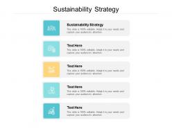 Sustainability strategy ppt powerpoint presentation professional influencers cpb