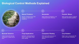 Sustainable Agriculture Natural Pest Management PPT Information AT Compatible Customizable