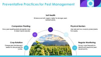 Sustainable Agriculture Natural Pest Management PPT Information AT Impressive Customizable