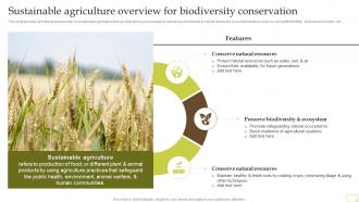 Sustainable Agriculture Overview For Biodiversity Conservation Complete Guide Of Sustainable Agriculture