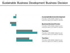 Sustainable business development business decision process learn agile development cpb