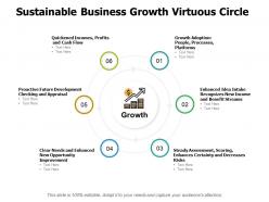 Sustainable business growth virtuous circle