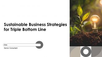 Sustainable Business Strategies For Triple Bottom Line PPT PowerPoint AT