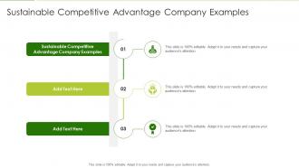 Sustainable Competitive Advantage Company Examples In Powerpoint And Google Slides Cpb