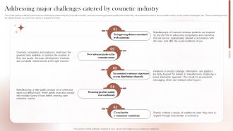Sustainable Cosmetic Business Plan Addressing Major Challenges Catered By Cosmetic Industry BP SS