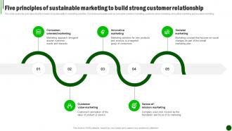 Sustainable Marketing Strategies Five Principles Of Sustainable Marketing MKT SS V