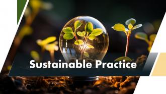 Sustainable Practice Powerpoint Presentation And Google Slides ICP