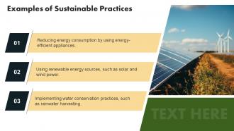 Sustainable Practice Powerpoint Presentation And Google Slides ICP Colorful Informative