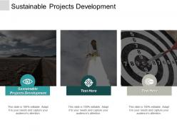 Sustainable projects development ppt powerpoint presentation professional tips cpb