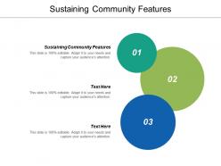 Sustaining community features ppt powerpoint presentation infographics graphics cpb