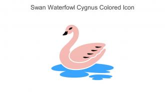 Swan Waterfowl Cygnus Colored Icon In Powerpoint Pptx Png And Editable Eps Format