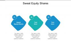 Sweat equity shares ppt powerpoint presentation professional brochure cpb