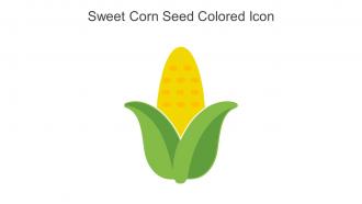 Sweet Corn Seed Colored Icon In Powerpoint Pptx Png And Editable Eps Format