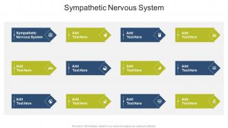 Sympathetic Nervous System In Powerpoint And Google Slides Cpb