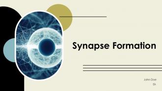 Synapse Formation PPT Slides ACP