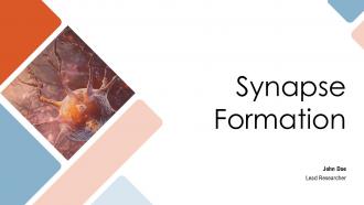 Synapse Formation PPT Summary ACP