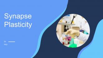Synapse Plasticity PPT Summary ACP