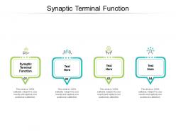 Synaptic terminal function ppt powerpoint presentation icon design inspiration cpb