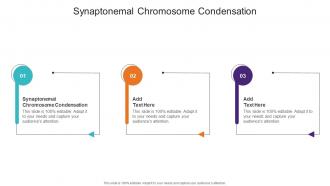 Synaptonemal Chromosome Condensation In Powerpoint And Google Slides Cpb