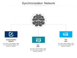 Synchronization network ppt powerpoint presentation professional visuals cpb