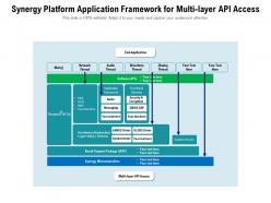 Synergy platform application framework for multi layer api access