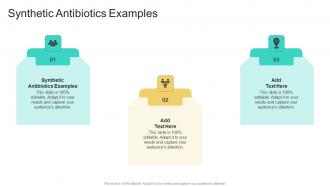 Synthetic Antibiotics Examples In Powerpoint And Google Slides Cpb