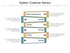System customer service ppt powerpoint presentation file graphics cpb