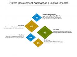 System development approaches function oriented ppt powerpoint presentation infographics template cpb