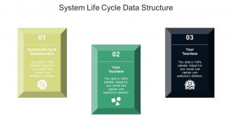 System life cycle data structure ppt powerpoint presentation pictures tips cpb