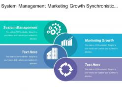 System management marketing growth synchronistic strategies branding lead
